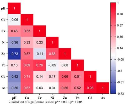 The influence of gold mining wastes on the migration-transformation behavior and health risks of arsenic in the surrounding soil of mined-area